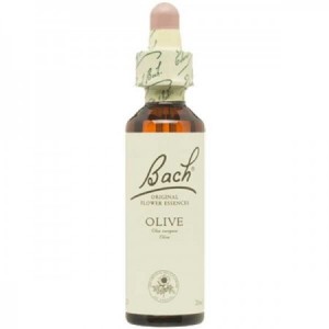 Flores de Bach 23 - Olive (Olivo) 20ml