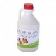 Sirope de Arce Bio 1L