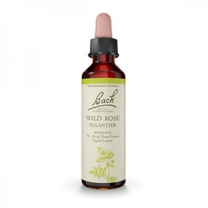 Flores de Bach 37 - Wild Rose (Rosa Silvestre) 20ml
