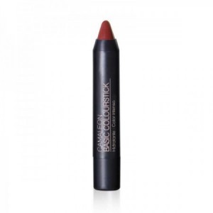 Pintalabios Basic Colourstick Terra