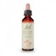 Flores de Bach 26 - Rock Rose (Heliantemo) 20ml