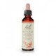 Flores de Bach 06 - Cherry Plum (Ceracifera) 20ml