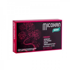 Micosan Fibroart 40 cápsulas