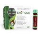 Exotique 20 viales