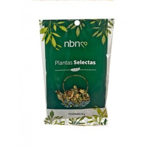 PULMONARIA 40 Grs.