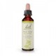 Flores de Bach 37 - Wild Rose (Rosa Silvestre) 20ml