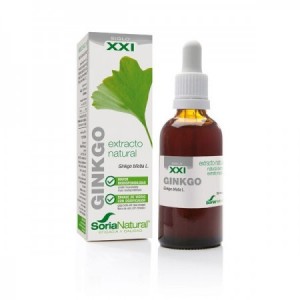 Extracto de ginkgo biloba 