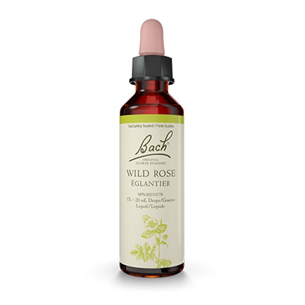Flores de Bach 37 - Wild Rose (Rosa Silvestre) 20ml