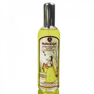 Ambientador natural Canela Naranja 100 ml