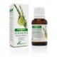 Aceite esencial de Romero 15 ml