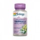TRIPHALA 500 Mg - 90 Caps.