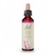 Flores de Bach 19 - Larch (Alerce) 20ml