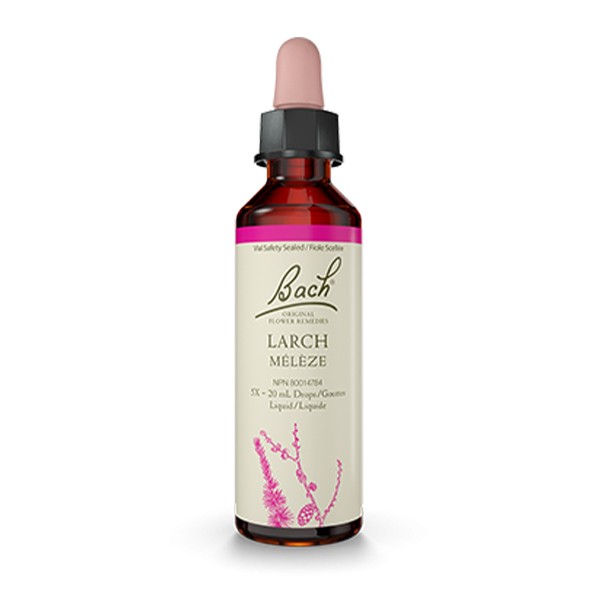 Flores de Bach 19 - Larch (Alerce) 20ml
