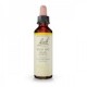Flores de Bach 36 - Wild Oat (Avena) 20ml