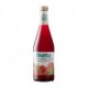 Jugo de arándanos rojos 500 ml