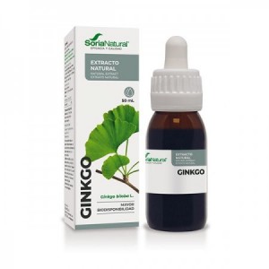 Extracto de ginkgo biloba 