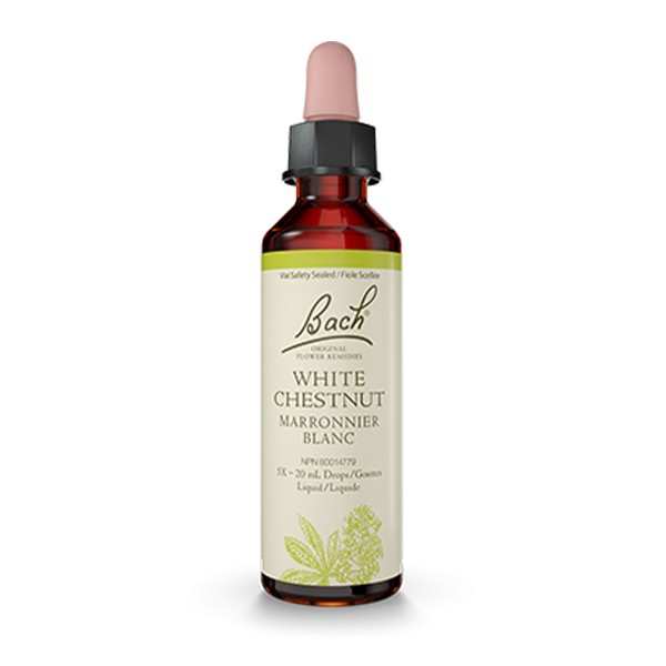 Flores de Bach 35 - White Chestnut (Castaño de Índias Blanco) 20ml