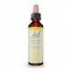 Flores de Bach 12 - Gentian (Genciana) 20ml