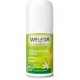 DESODORANTE ROLL-ON 24H CITRUS