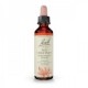Flores de Bach 25 - Red Chestnut 20ml