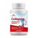 Zentrum Colágeno hidrolizado marino 180 comprimidos Zentrum Colágeno hidrolizado marino 180 comprimidos