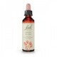 Flores de Bach 02 - Aspen (Álamo temblón) 20ml Flores de Bach 02 - Aspen (Álamo temblón) 20ml