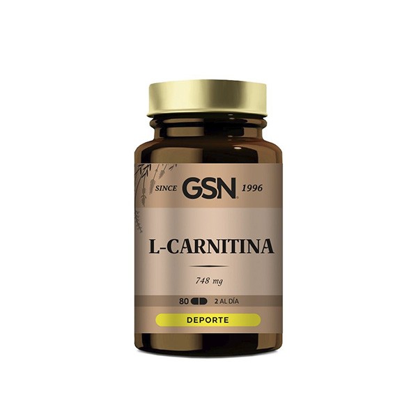 Carnitina 20 80 comprimidos