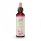 Flores de Bach 11 - Elm (Olmo) 20ml