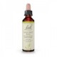 Flores de Bach 07 - Chesnut Bud (Brote de Castaño) 20ml