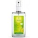 DESODORANTE SPRAY CITRUS 100 Ml.