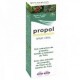 Propolvir spray oral
