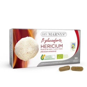 Melena de león (hericium) bio 30 caps.