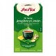 Té Verde Jengibre Limón 17 filtros