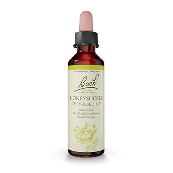 Flores de Bach 16 - Honeysuckle (Madreselva) 20ml