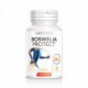 Boswelia protect 500mg. 45 perlas
