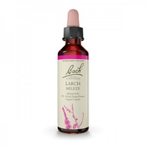 Flores de Bach 19 - Larch (Alerce) 20ml
