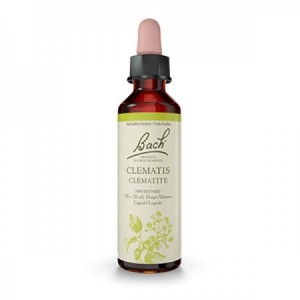 Flores de Bach 09 - Clematis (Clematide) 20ml