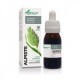 Extracto de alpiste XXI 50ml