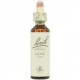Flores de Bach 23 - Olive (Olivo) 20ml