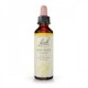 Flores de Bach 17 - Hornbean (Hojarazo) 20ml