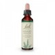 Flores de Bach 01 - Agrimony 20ml
