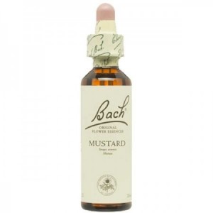 Flores de Bach 21 - Mustard (Mostaza) 20ml
