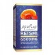 Reishi 6.500 mg 60 cápsulas