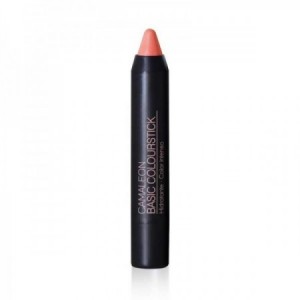Pintalabios Basic Colourstick Nude
