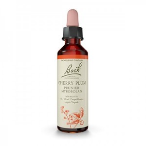 Flores de Bach 06 - Cherry Plum (Ceracifera) 20ml