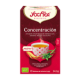 Concentracion 17 filtros
