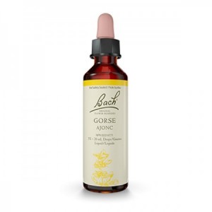 Flores de Bach 13 - Gorse (Aulaga) 20ml