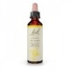 Flores de Bach 05 - Cerato 20ml