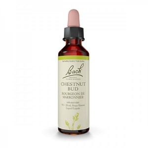 Flores de Bach 07 - Chesnut Bud (Brote de Castaño) 20ml