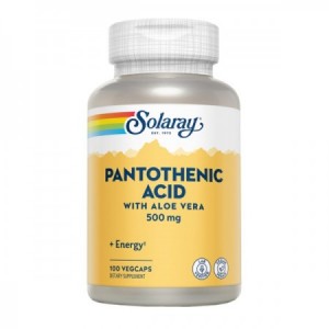 PANTOTENIC ACID (VITAMINA B5) 500 mg 100 Caps.